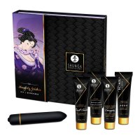 Shunga Naughty Geisha's Secret Collection