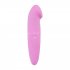 Loving Joy Buzz For The Weekend Couples Sex Toy Kit (5pc)